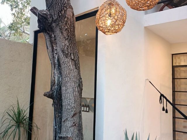 place photo 46