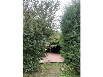 place photo 34