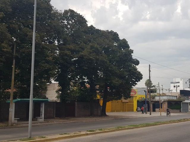 place photo 14