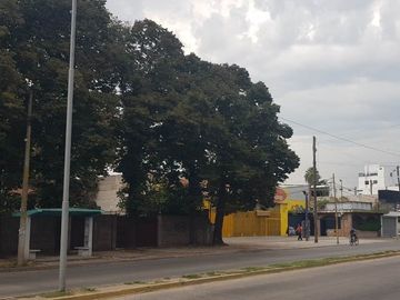 place photo 14