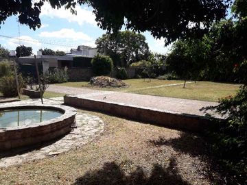 place photo 22