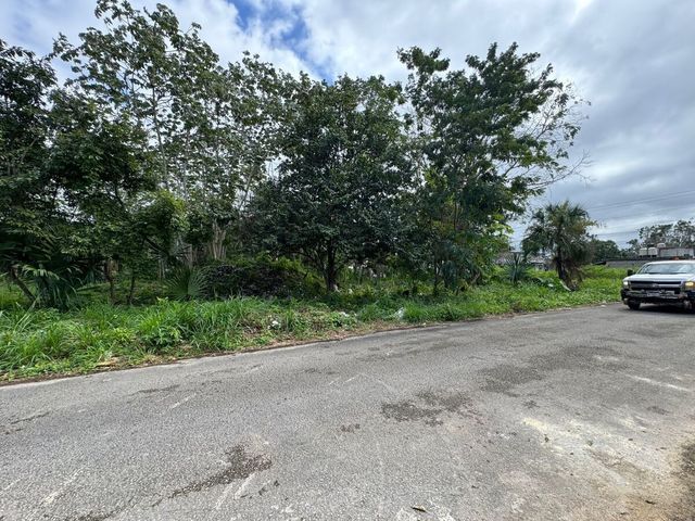 place photo 18