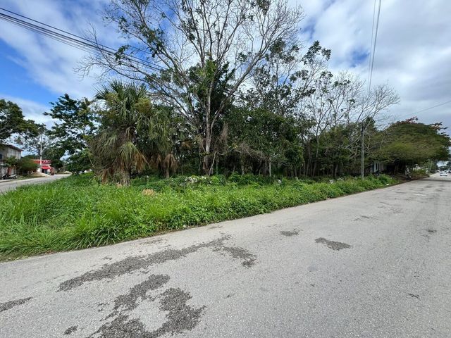 place photo 7