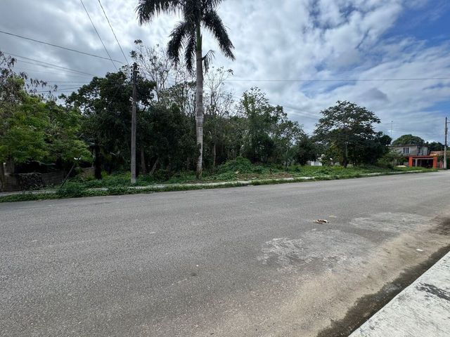 place photo 17