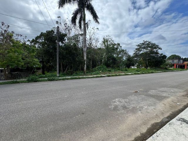 place photo 15