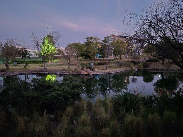 place photo 36