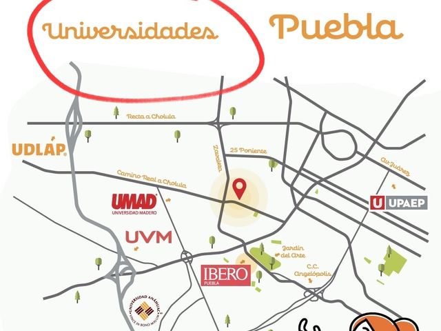 place photo 7