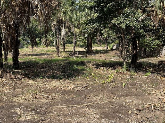 place photo 9