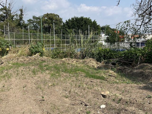place photo 11