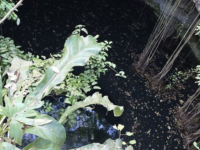 place photo 22