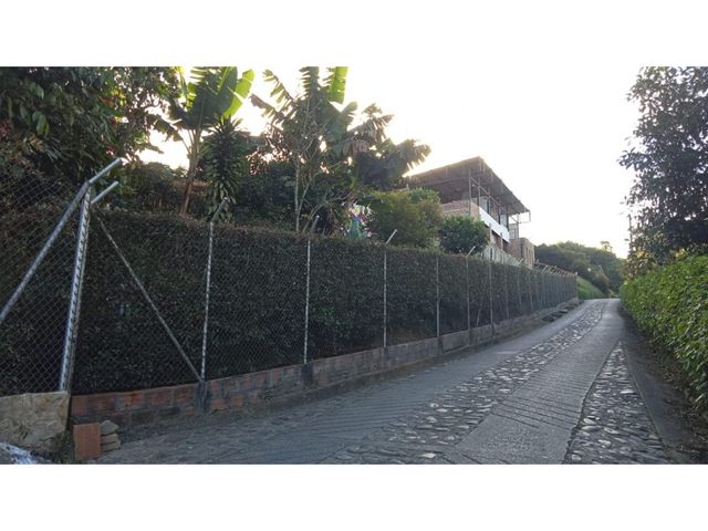place photo 43