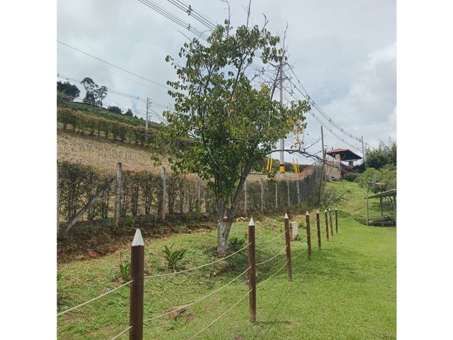 place photo 62