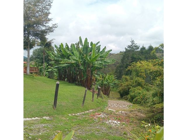 place photo 58