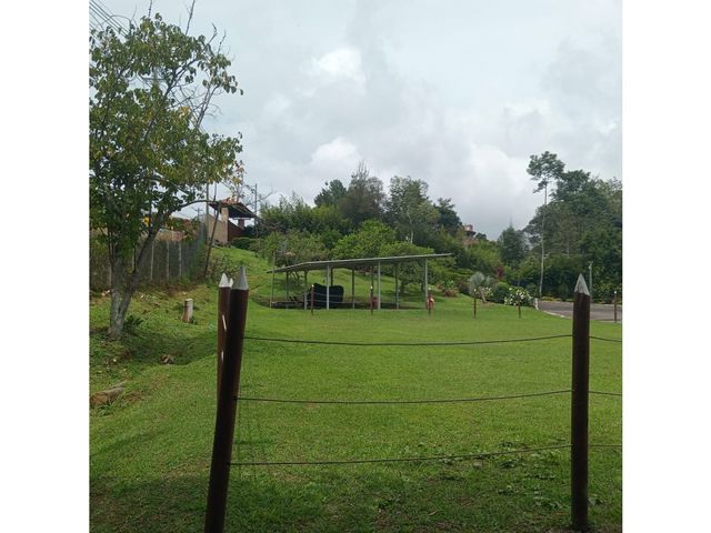 place photo 54