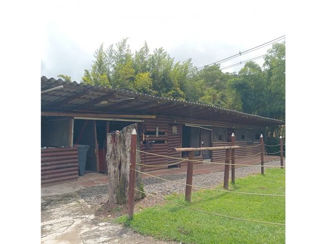place photo 46