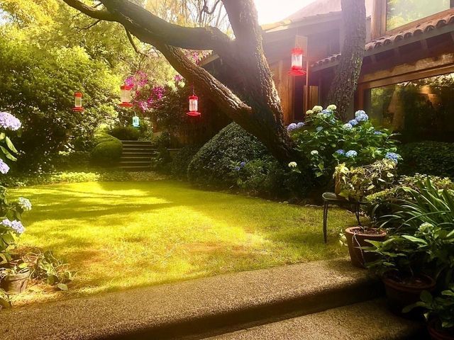 place photo 35