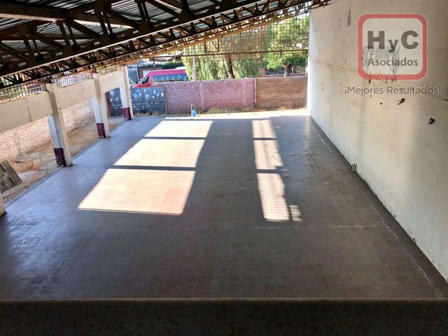 place photo 18
