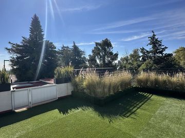 place photo 41