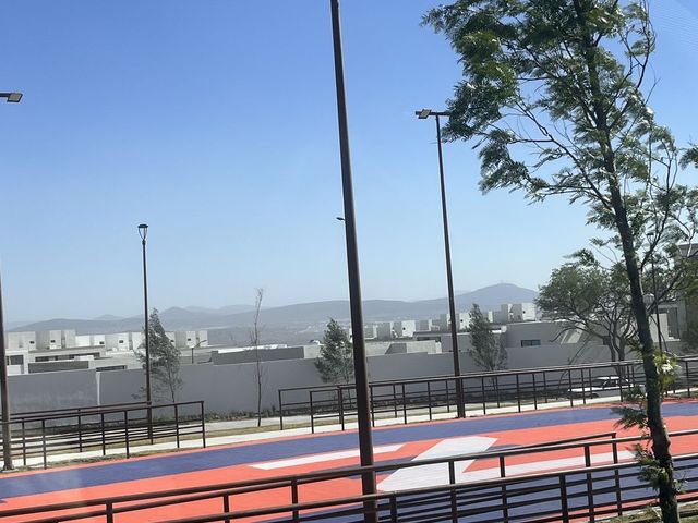 place photo 20