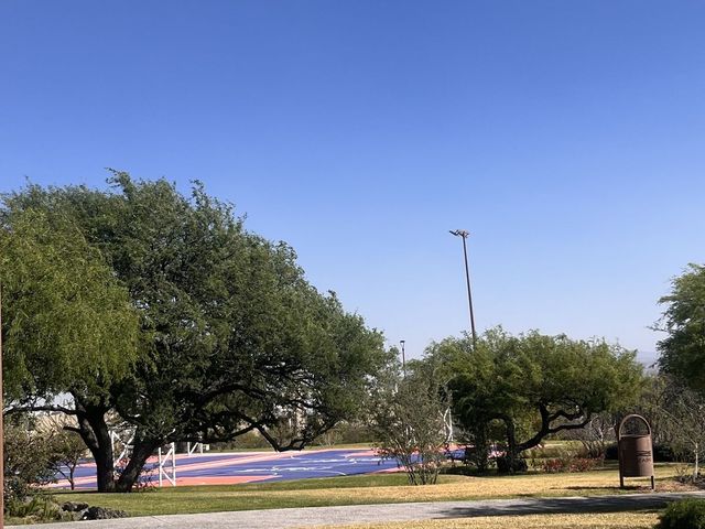 place photo 25