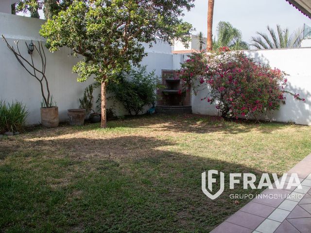 place photo 26