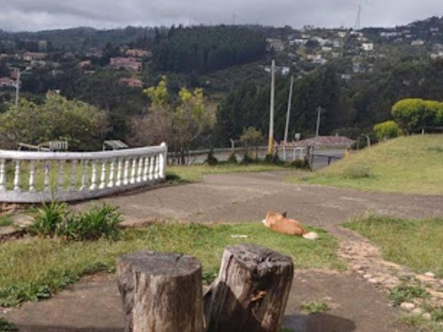 place photo 27