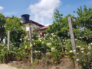 place photo 28