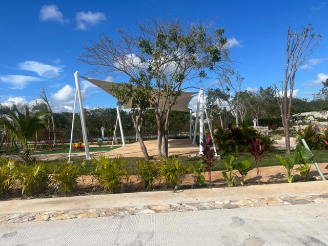 place photo 7