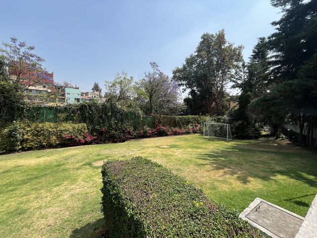 place photo 28