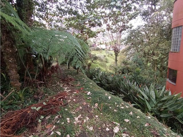 place photo 32
