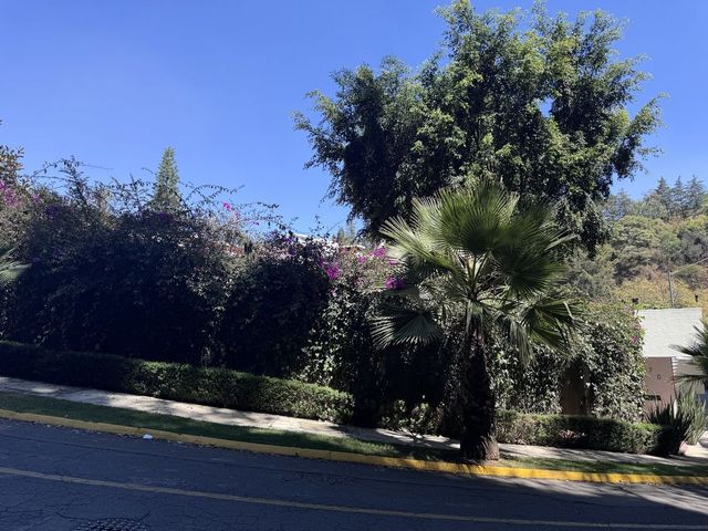 place photo 30