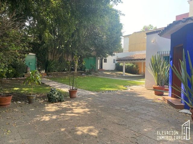 place photo 19
