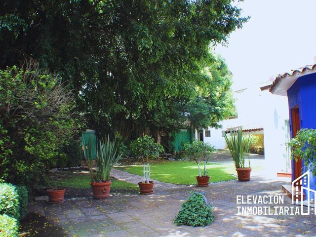 place photo 48