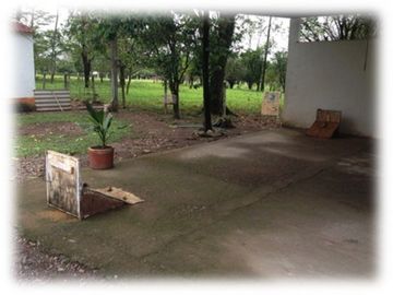 place photo 28