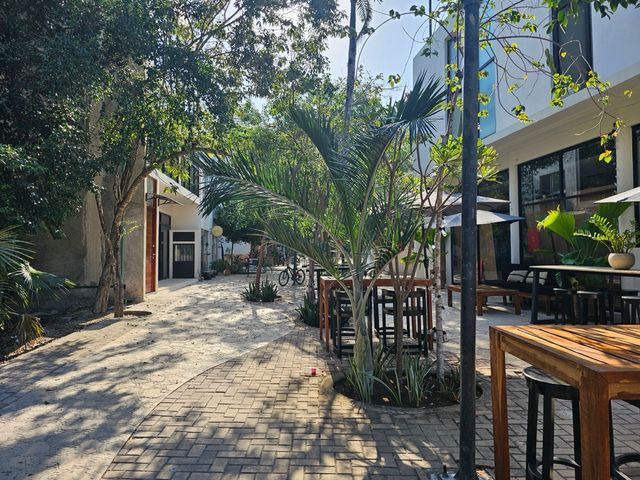 place photo 12