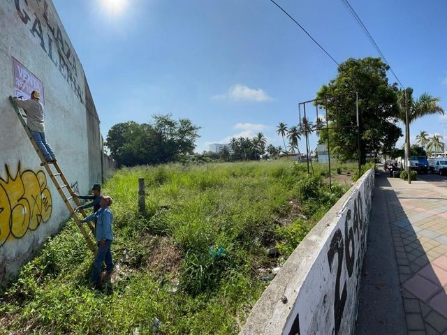 place photo 13