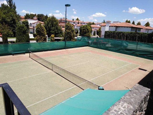 place photo 29