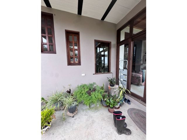 place photo 59