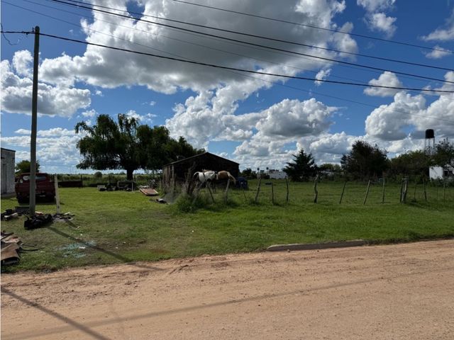 place photo 17