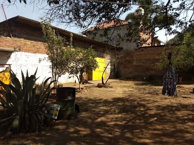 place photo 15
