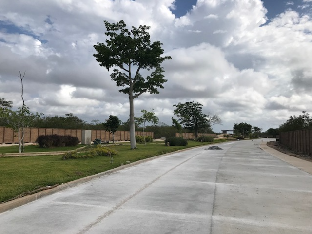 place photo 19