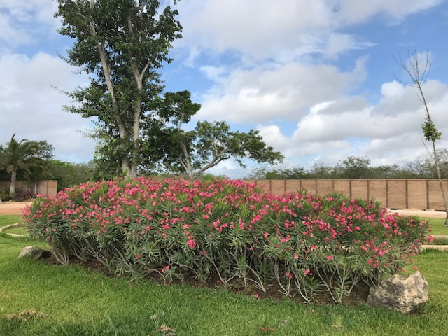 place photo 20