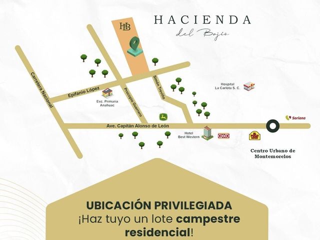 place photo 16