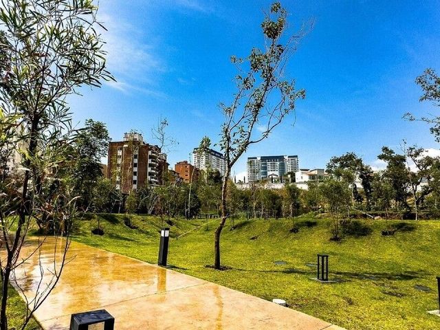 place photo 50