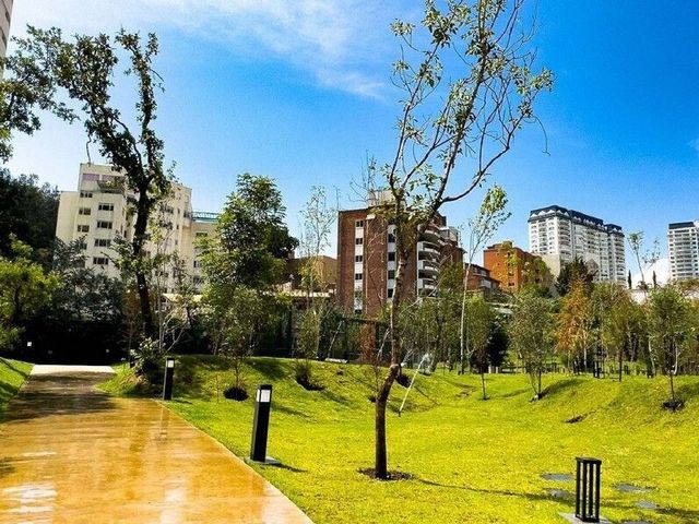 place photo 49
