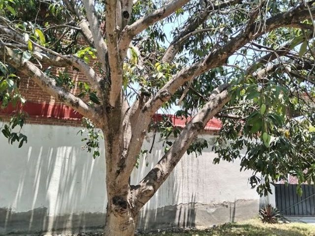 place photo 26