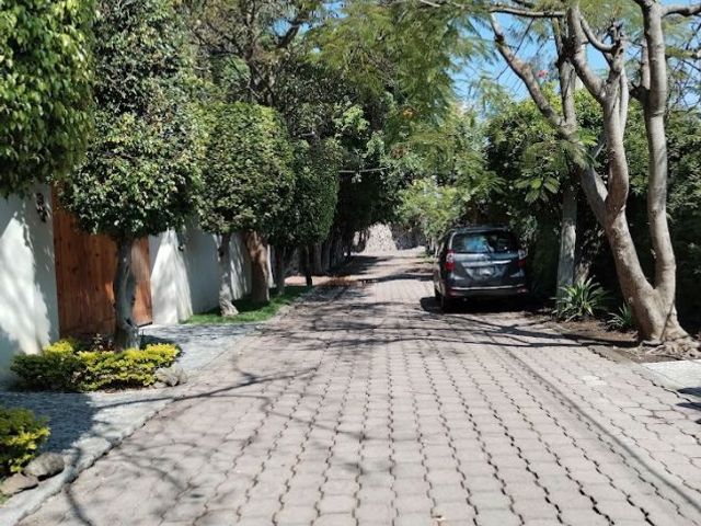 place photo 58