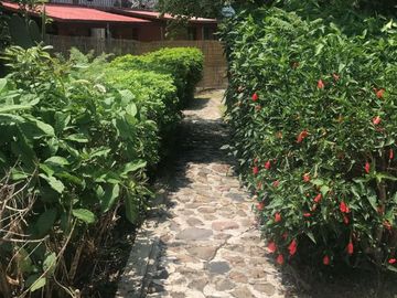 place photo 9