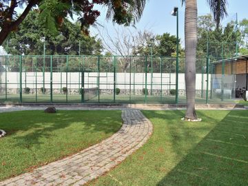place photo 29