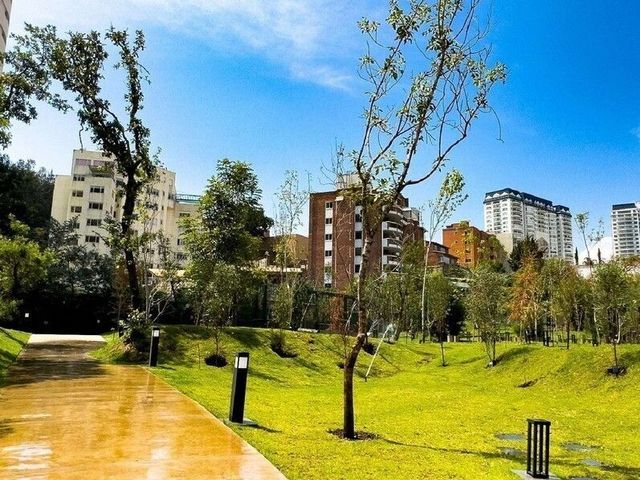 place photo 50